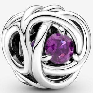 New Pandora Eternity Birthstone Birthday Circle Charm February Bead